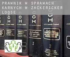 Prawnik w sprawach karnych w  Zäckericker Loose