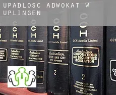Upadłość adwokat w Üplingen