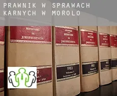 Prawnik w sprawach karnych w Morolo