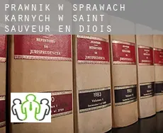Prawnik w sprawach karnych w  Saint-Sauveur-en-Diois