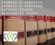 Prawnik w sprawach karnych w  Southern Gateway