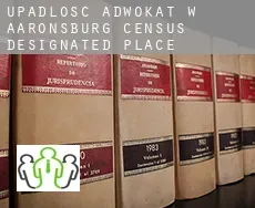 Upadłość adwokat w  Aaronsburg