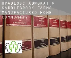 Upadłość adwokat w  Saddlebrook Farms Manufactured Home Community