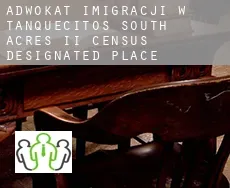 Adwokat imigracji w  Tanquecitos South Acres II