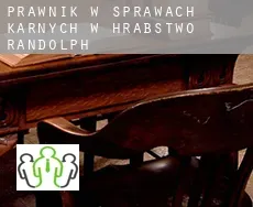 Prawnik w sprawach karnych w  Hrabstwo Randolph