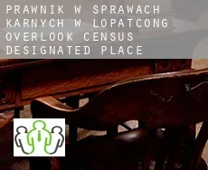 Prawnik w sprawach karnych w  Lopatcong Overlook