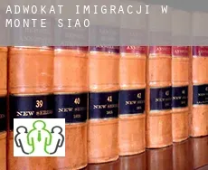 Adwokat imigracji w  Monte Sião