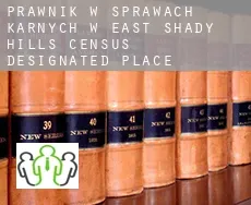 Prawnik w sprawach karnych w  East Shady Hills