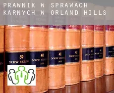 Prawnik w sprawach karnych w  Orland Hills