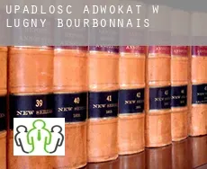 Upadłość adwokat w  Lugny-Bourbonnais