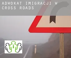 Adwokat imigracji w  Cross Roads