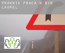 Prawnik praca w  Big Laurel