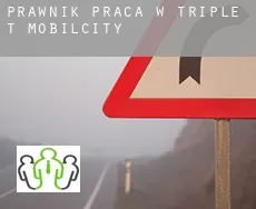 Prawnik praca w  Triple T Mobilcity