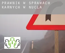 Prawnik w sprawach karnych w  Nucla