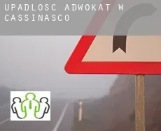 Upadłość adwokat w  Cassinasco