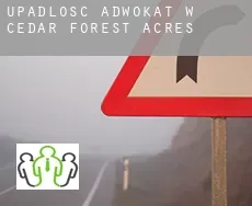 Upadłość adwokat w  Cedar Forest Acres