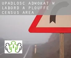 Upadłość adwokat w  L'Abord-à-Plouffe (census area)
