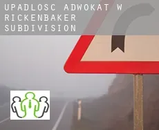 Upadłość adwokat w  Rickenbaker Subdivision