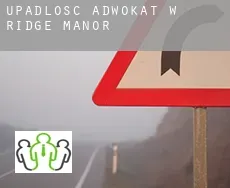 Upadłość adwokat w  Ridge Manor