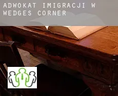 Adwokat imigracji w  Wedges Corner