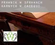 Prawnik w sprawach karnych w Cacequi