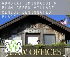 Adwokat imigracji w  Plum Creek Village