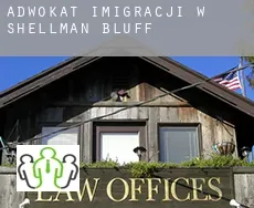 Adwokat imigracji w Shellman Bluff