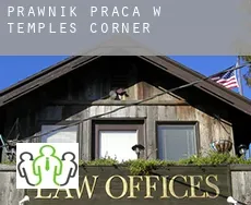 Prawnik praca w  Temples Corner