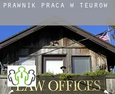 Prawnik praca w  Teurow