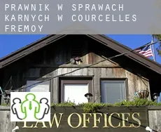 Prawnik w sprawach karnych w Courcelles-Frémoy