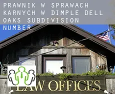 Prawnik w sprawach karnych w  Dimple Dell Oaks Subdivision Number 2