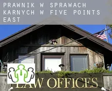 Prawnik w sprawach karnych w  Five Points East