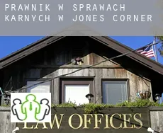 Prawnik w sprawach karnych w  Jones Corner