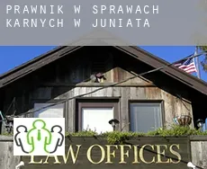 Prawnik w sprawach karnych w  Juniata