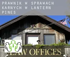 Prawnik w sprawach karnych w  Lantern Pines