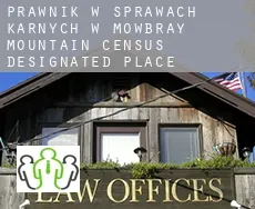 Prawnik w sprawach karnych w  Mowbray Mountain