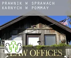 Prawnik w sprawach karnych w  Pommay
