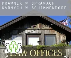 Prawnik w sprawach karnych w  Schimmendorf