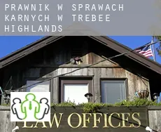 Prawnik w sprawach karnych w  Trebee Highlands