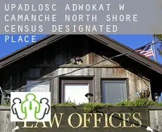 Upadłość adwokat w  Camanche North Shore
