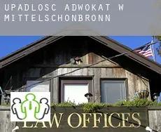 Upadłość adwokat w Mittelschönbronn