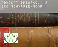 Adwokat imigracji w  Groß Schwarzenmoor