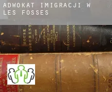 Adwokat imigracji w  Les Fosses