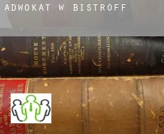 Adwokat w  Bistroff