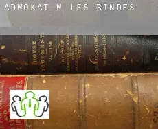 Adwokat w  Les Bindés