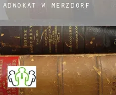 Adwokat w  Merzdorf