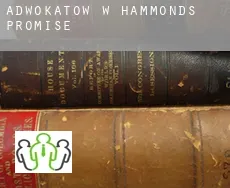 Adwokatów w  Hammonds Promise