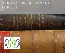 Adwokatów w  Tanager Forest