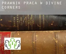 Prawnik praca w  Divine Corners