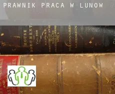 Prawnik praca w  Lunow